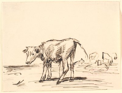 Ein Stierkalb von Theodor Philipsen