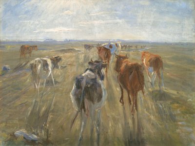 Lange Schatten. Rinder auf der Insel Saltholm von Theodor Philipsen