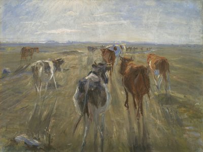Lange Schatten. Rinder auf der Insel Saltholm von Theodor Philipsen