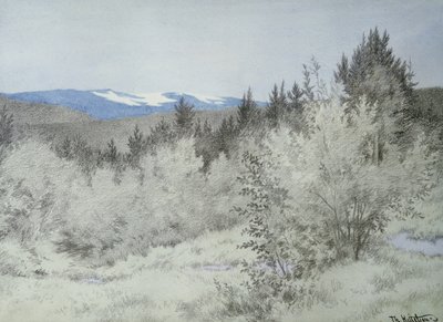 Weit, weit weg im Wald von Theodor Kittelsen