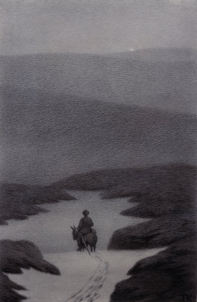 Ja, ich sehe etwas weit entfernt, sagte der Junge, es schimmert von Theodor Kittelsen