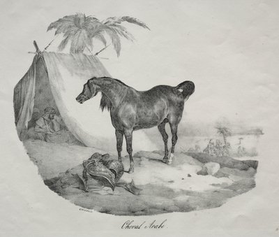 Arabisches Pferd von Theodore Gericault
