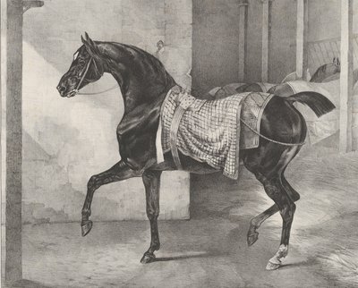 Schwarzes Pferd im Stall angebunden, 1822 von Theodore Gericault