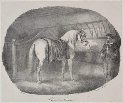 Pferd aus Hannover von Theodore Gericault