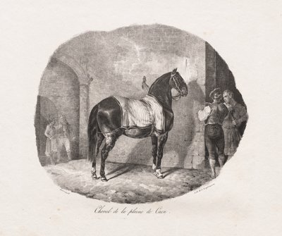 Lithografierte Studien von Pferden: Pl. 7, Pferd von der Caen-Ebene, 1822 von Theodore Gericault