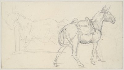 Skizze eines Pferdes von Theodore Gericault
