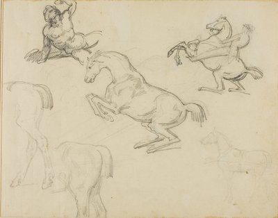 Skizzen: Liegender Akt, ein Reiter und verschiedene Pferde von Theodore Gericault