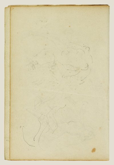 Skizzen von Kopf und Hinterbeinen eines Löwen von Theodore Gericault