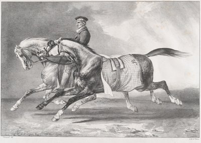 Zwei Apfelschimmel beim Training von Theodore Gericault