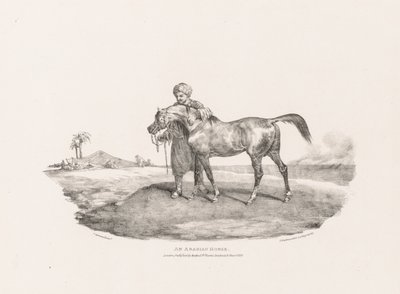 Verschiedene Motive aus dem Leben und auf Stein: Ein arabisches Pferd von Theodore Gericault