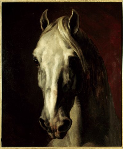 Weißer Pferdekopf von Theodore Gericault