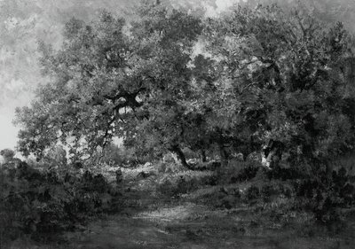 Landschaft, um 1860 von Theodore Rousseau