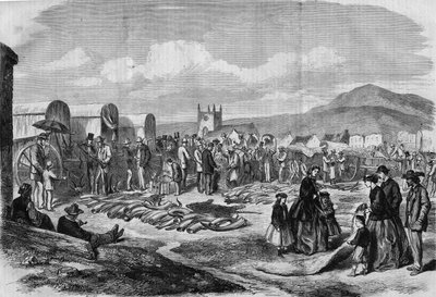 Elfenbein- und Fellmarkt in Grahamstown, Albanien, Kapkolonie von Thomas (after) Baines
