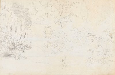 Eine Studie in Graphit von der Brücke und den Bäumen von Westen (verso) von Thomas Baxter