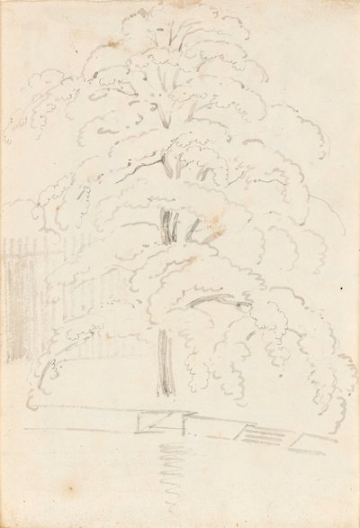 Studie eines Baumes über Wasser (verso) von Thomas Baxter