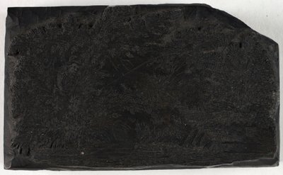 Holzschnitt für Mann, der unter einem Baum mit Wasserfall fischt von Thomas Bewick