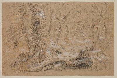 Bäume im Winter mit einem Mann auf einem zugefrorenen Bach von Thomas Cole