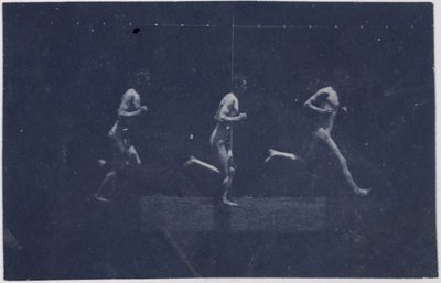 Marey-Rad-Fotografien von George Reynolds, ca. 1884 von Thomas Eakins