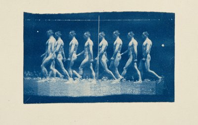 Marey-Rad-Fotografien von Jesse Godley von Thomas Eakins