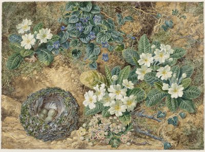 Stillleben mit einem Vogelnest, Veilchen, Primeln und Apfelblüten von Thomas Frederick Collier