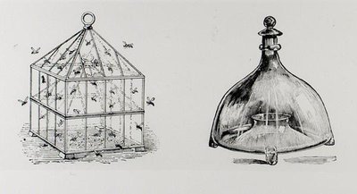 Wespen- und Fliegenfallen, aus Thomas Mawsons 
