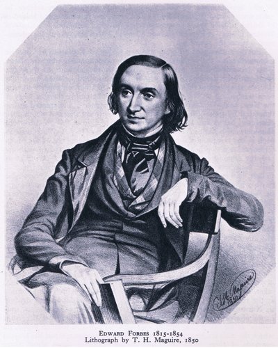 Edward Forbes (1815-1854), Natur in Großbritannien veröffentlicht von Collins, 1946 von Thomas Herbert Maguire