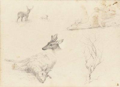 Skizzenbuch mit Landschafts- und Tiermotiven von Thomas Hewes Hinckley