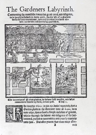Laube als Sonnenschutz und Pflanzung in Hochbeeten, aus The Gardeners Labyrinth, 1577 von Thomas Hill