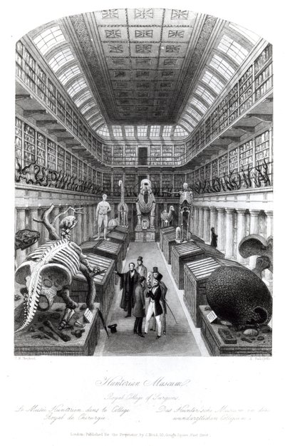 Das Hunterian Museum, Illustration zu 