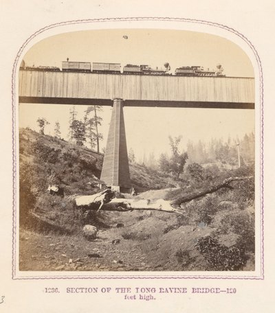 Abschnitt der Long Ravine Brücke von Thomas Houseworth