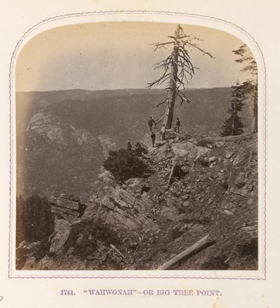 Wahwonah - Oder Big Tree Point von Thomas Houseworth