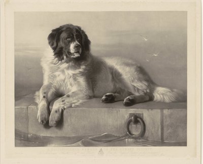 Porträt des Rettungshundes Bob, liegend auf einem Pier von Thomas Landseer