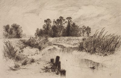 Sumpflandschaft mit Bach von Thomas Moran