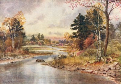 Herbst in New Brunswick von Thomas Mower Martin
