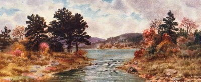  von Thomas Mower Martin