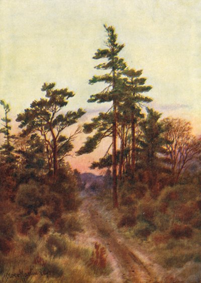 Straße nahe Victoria, Abend von Thomas Mower Martin