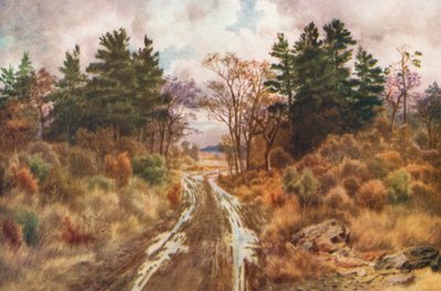 Straße in der Nähe der Bay of Fundy, Herbst von Thomas Mower Martin