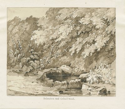Codsall Wood - Brimstone Well: Sepia-Zeichnung von Thomas Peploe Wood