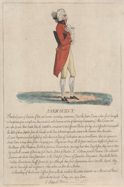 Ein neues Insekt von Thomas Rowlandson