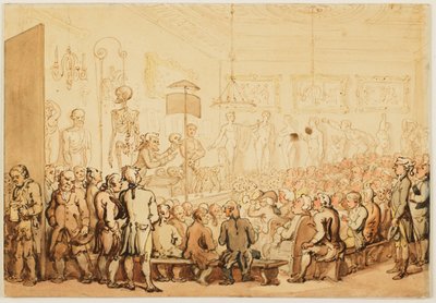 Eine anatomische Vorlesung an der Royal Academy of Arts von Thomas Rowlandson