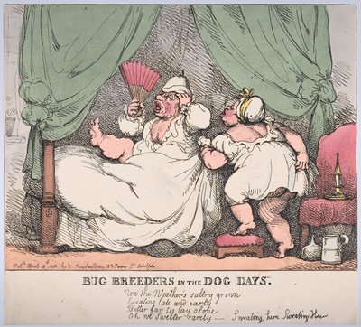 Käferzüchter in den Hundstagen von Thomas Rowlandson