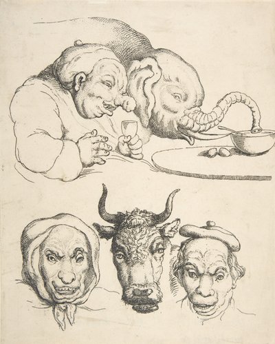 Vergleichende Anatomie, 1800-25 von Thomas Rowlandson