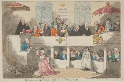 Reformation - oder - Die wunderbaren Effekte einer Proklamation!!! von Thomas Rowlandson