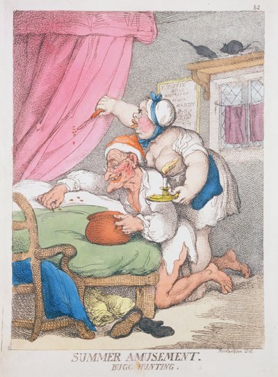 Sommervergnügen. Käferjagd von Thomas Rowlandson