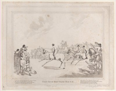 Das Rennpferd aus Das Leben eines Rennpferdes oder Der hochmütige Renner von Thomas Rowlandson