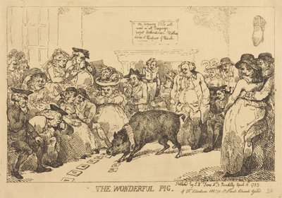 Das Wunderbare Schwein von Thomas Rowlandson