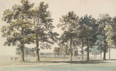 Die Grabeninsel, Windsor Great Park von Thomas Sandby