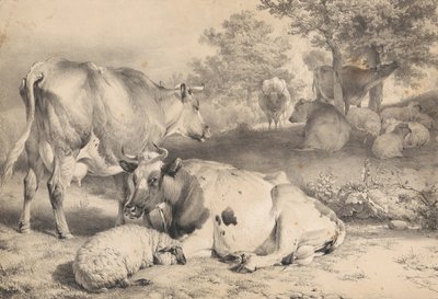 Schafe und Rinder von Thomas Sidney Cooper