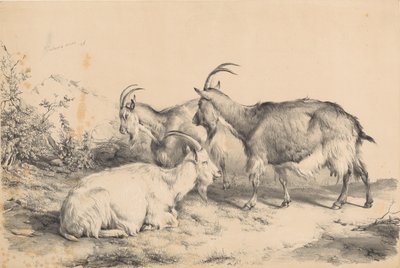 Drei Ziegen von Thomas Sidney Cooper