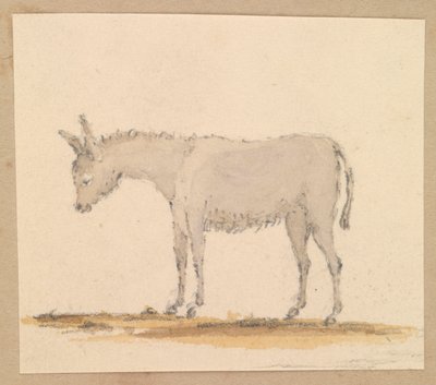 Studie eines Esels, ca. 1820 von Thomas Streatfeild